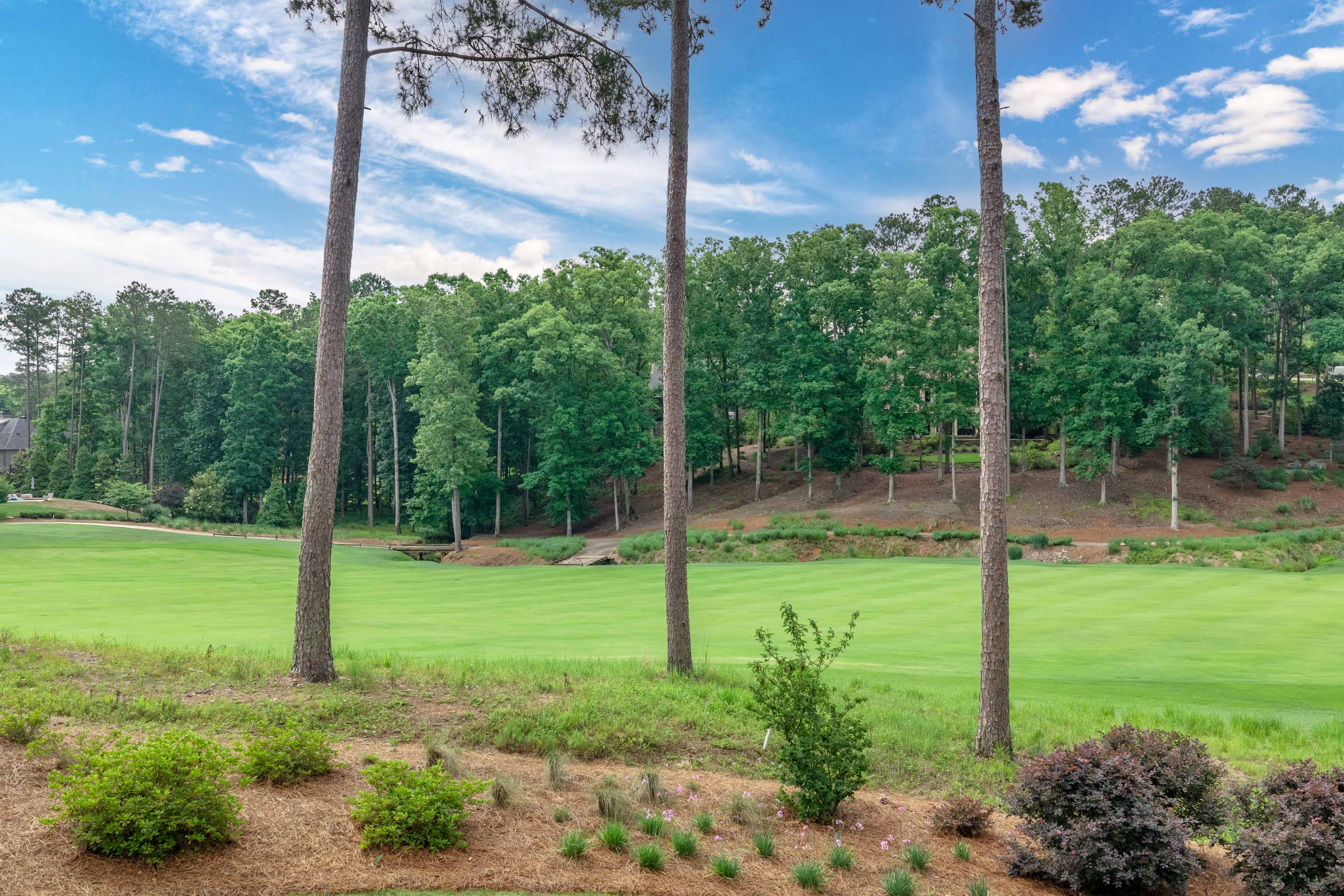1050 Woodham Creek image 45